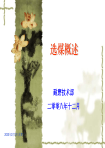 选煤工艺流程课件