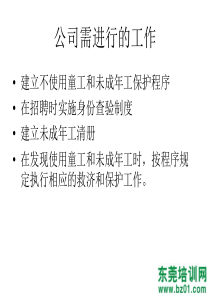 SA8000企业公司的工作细则