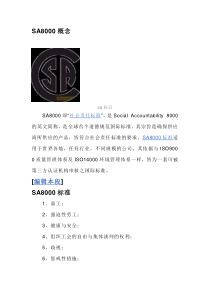 SA8000概念