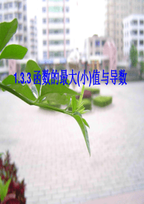 1.3.3函数的最大(小)值与导数概述
