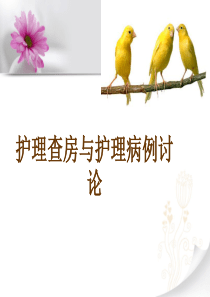 护理查房与护理病例讨论模板