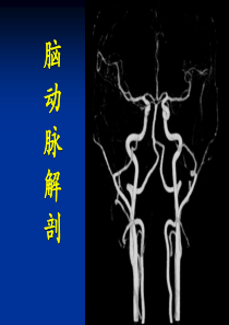 脑动脉解剖与临床