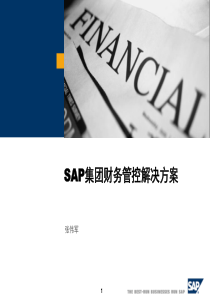SAP集团财务方案