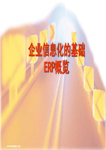 企业信息化的基础-版
