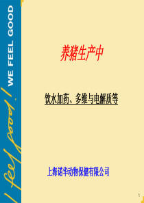 猪场饮水加药系统