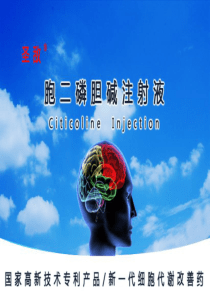 胞二磷胆碱注射液
