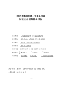 2016年基本公共卫生服务项目