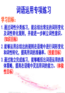 2017中考英语《词汇运用专项练习》复习课件(共18张PPT)