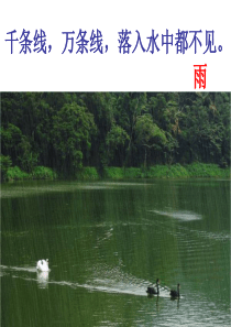 26部编《雨点儿》PPT课件