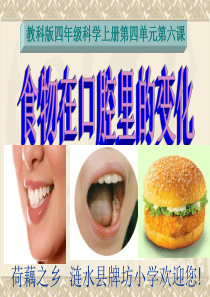 教科版四年级科学上册第四单元第六课 食物在口腔里的变化(含堂作业)