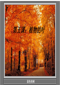 教科版小学科学三年级上册第一单元《植物的叶》课件