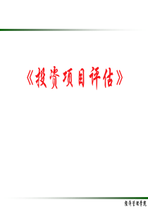 投资项目评估
