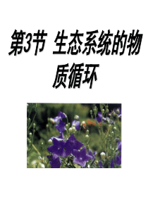 2015生态系统的物质循环公开课课件