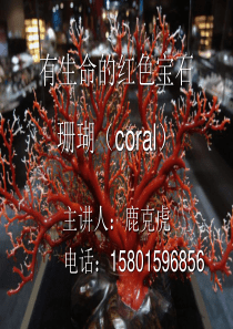 珊瑚