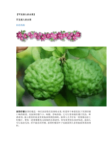 【罕见诱人的水果】