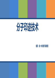 分子印迹技术演示ppt