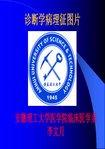 诊断图片