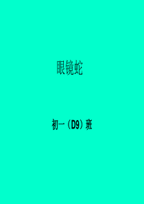 眼镜蛇