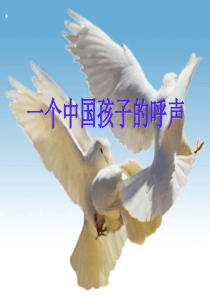 《一个中国孩子的呼声》课件分解