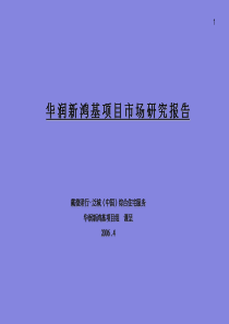 华润调研报告