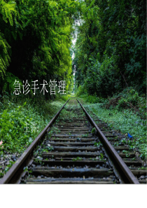 急诊手术管理PPT