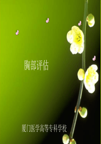 胸部评估正式版本