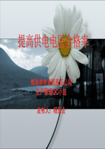 提高供电电压合格率