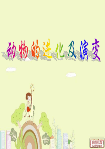 动物的进化及演变