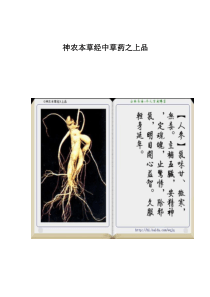 神农本草经中草药之上品