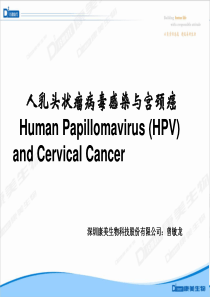HPV病毒介绍及检测意义