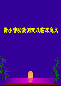 肾小管功能测定及临床意义