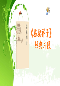 《骆驼祥子》经典片段