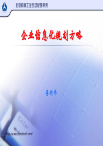企业信息化规划方略(1)