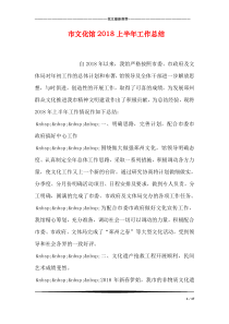 市文化馆2018上半年工作总结