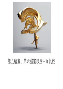 透明隔、帆腔详解及鉴别诊断