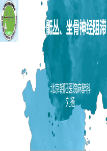 2017骶丛、坐骨神经阻滞-刘扬