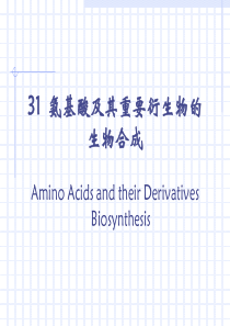 第31章 氨基酸极其重要衍生物的生物合成