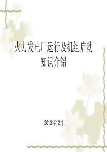 火力发电厂运行及机组启动介绍