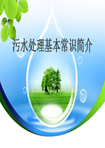 污水处理工艺及预算..