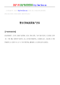 曹安灯饰城招商推广方案