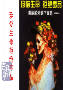 珍爱生命和远离毒品