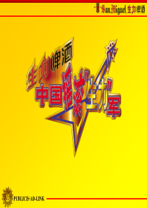 生力啤酒促销提案PPT