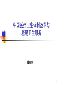 中国医疗卫生体制改革与基层卫生服务