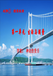 2016届一轮复习  经济生活 第1课神奇的货币