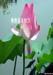 佛学基本常识