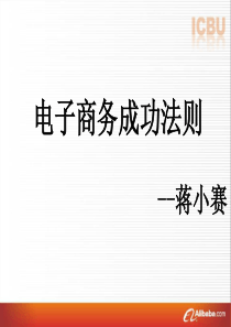 电子商务成功法则XXXX完整版