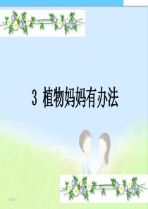 二年级课件植物妈妈有办法课件精品课件