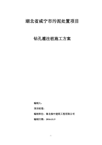 钻孔灌注桩施工方案