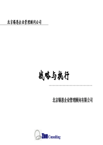 锡恩-战略与执行