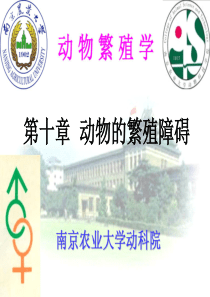 南京农业大学动物繁殖学课件ch10